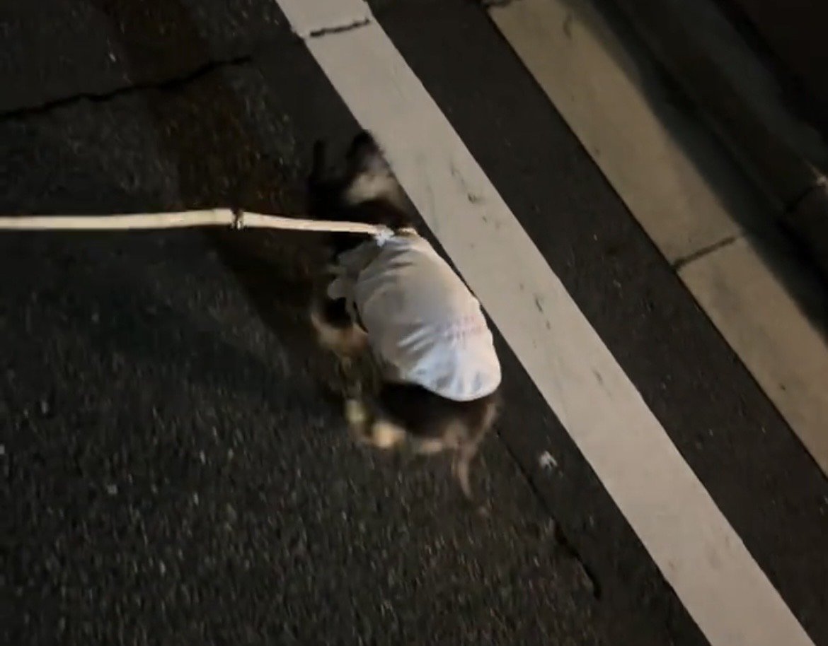 くしゃみをする瞬間