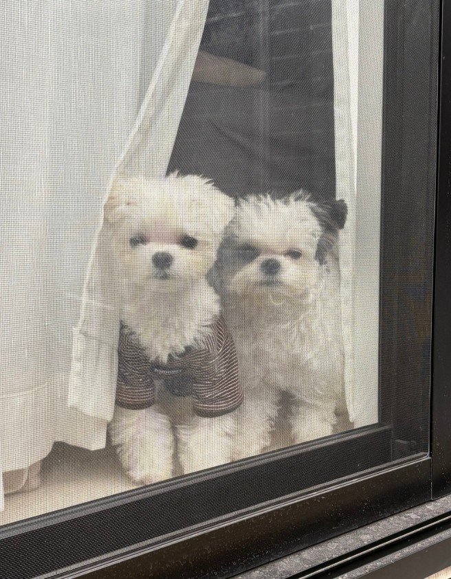 並んでお見送りしてくれることも