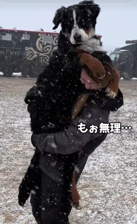 子犬とは思えない！！