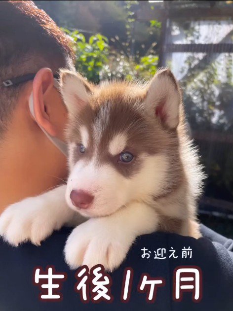 るい君の成長記録