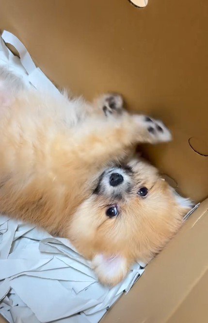 「ふわ～もう着いた？」