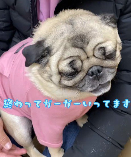 ガーガー文句が止まらない