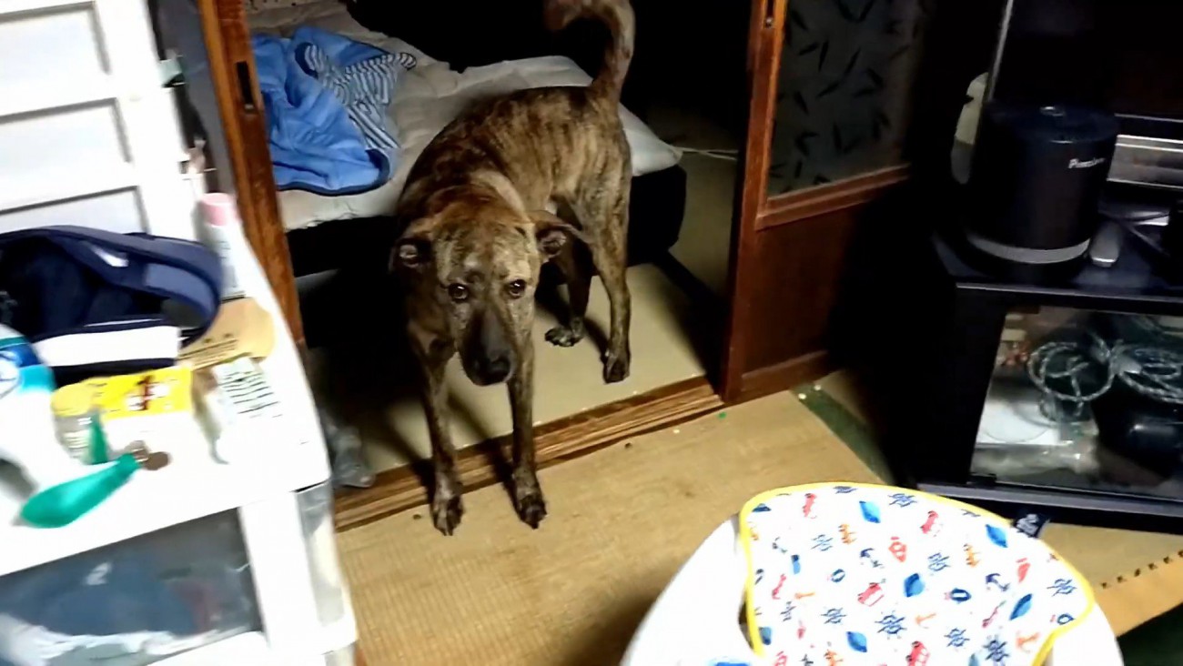 まさかの場所にいたりゅうさん9