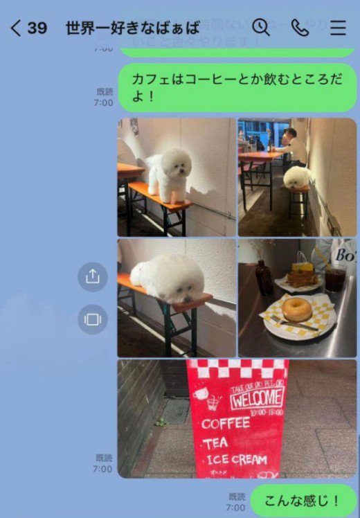 おばあちゃんに送ったLINE