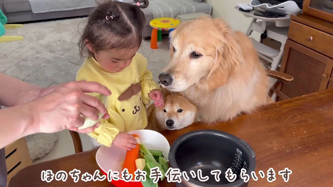 ほのちゃんも手伝います