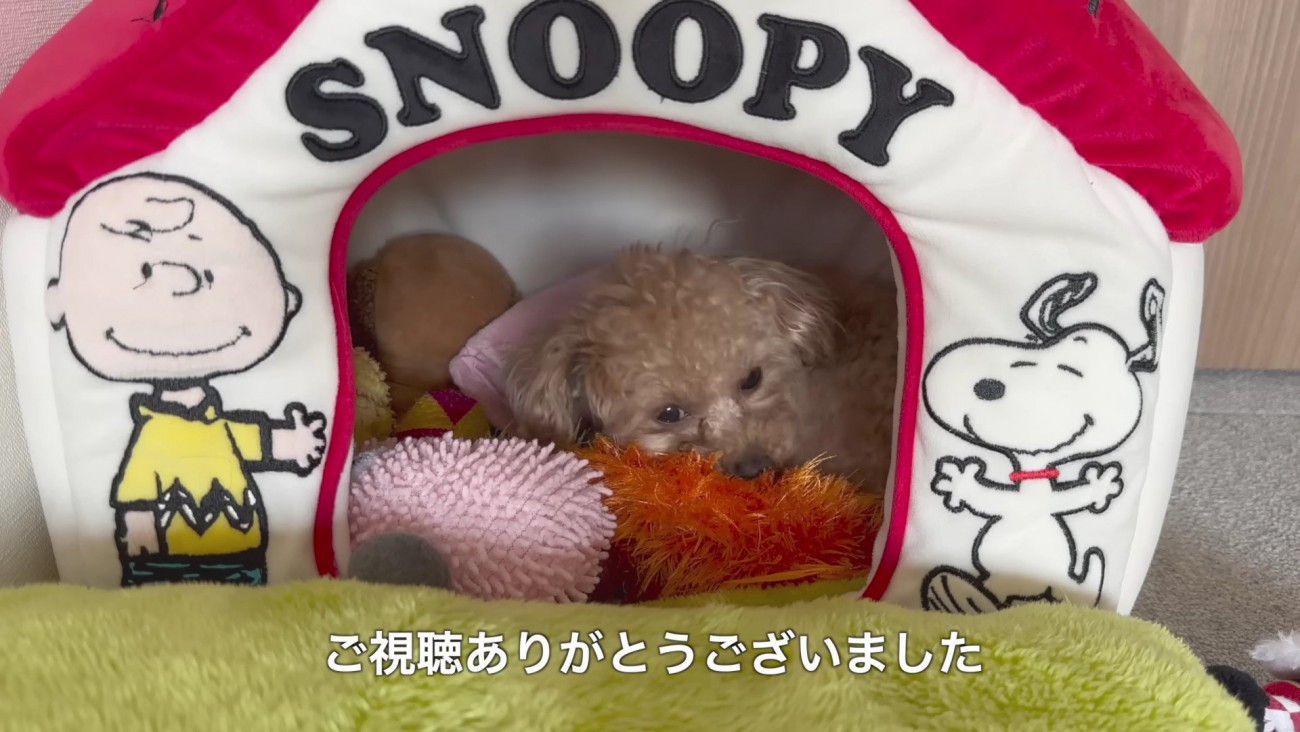 モコちゃん、よかったね！