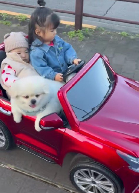 みんなでドライブしよう♪