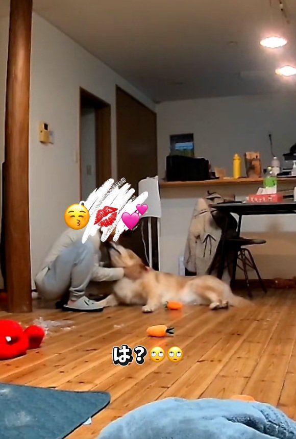 こむぎ君にキスするパパ