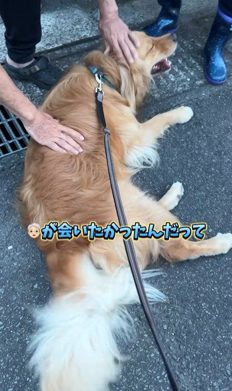 ピノくんとご夫婦の再会8