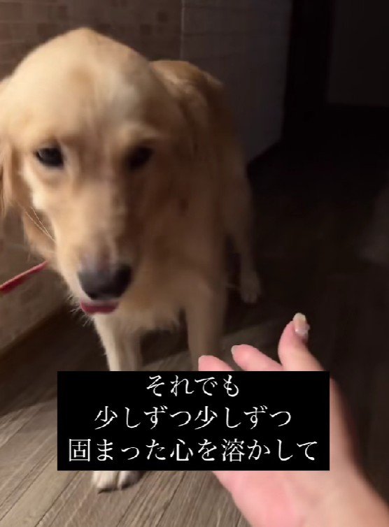 少しずつ心の距離を縮めて…