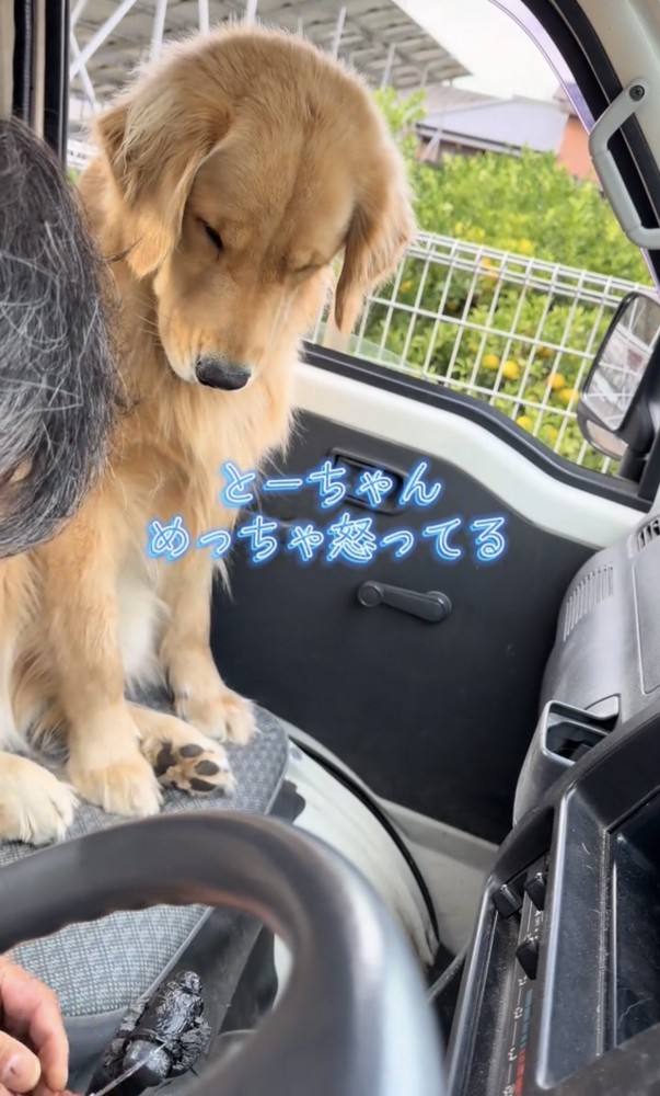 しょんぼり座る犬と手元を直す人