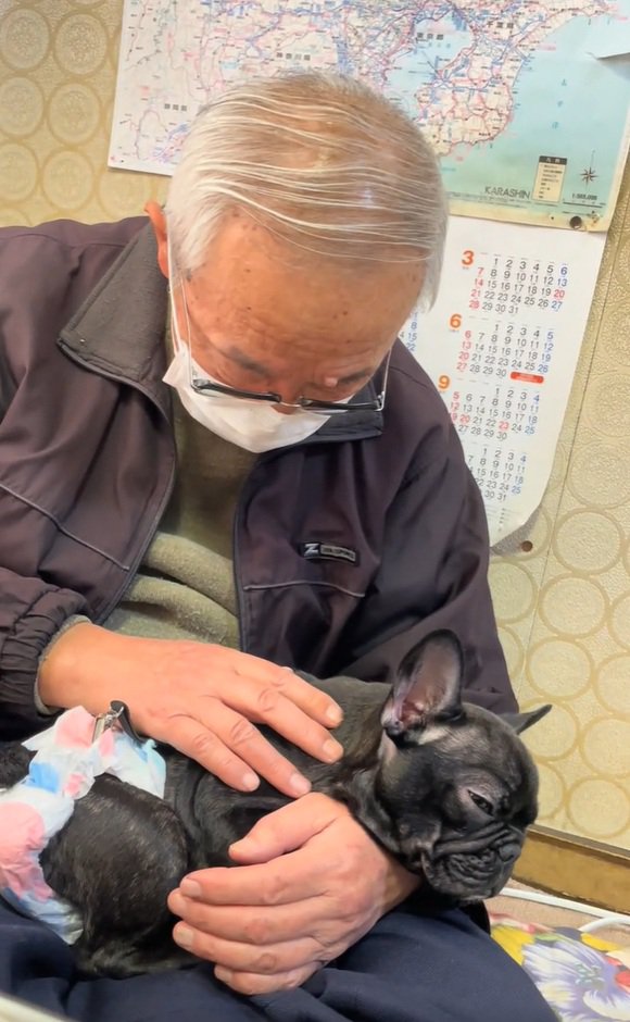 薄目のぶーちゃん