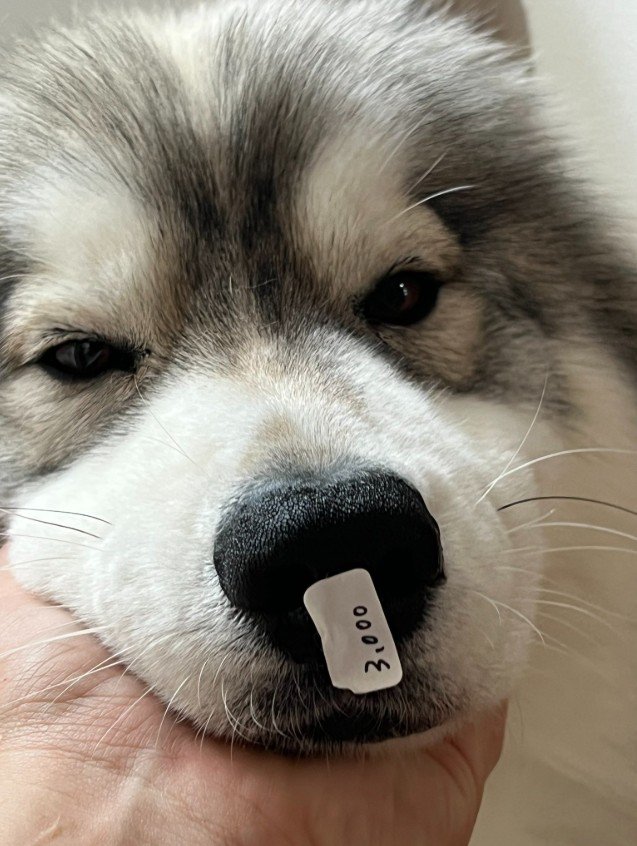 不満げなお顔が可愛い♡