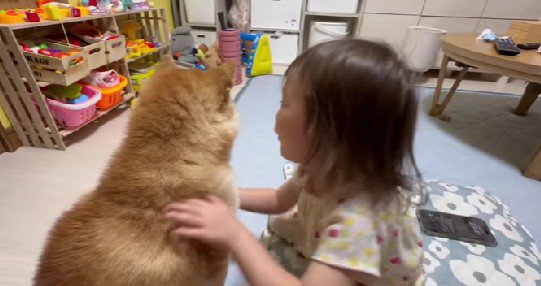 「大丈夫だよ」