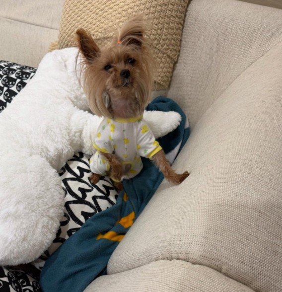 疲れると老け顔になっちゃう