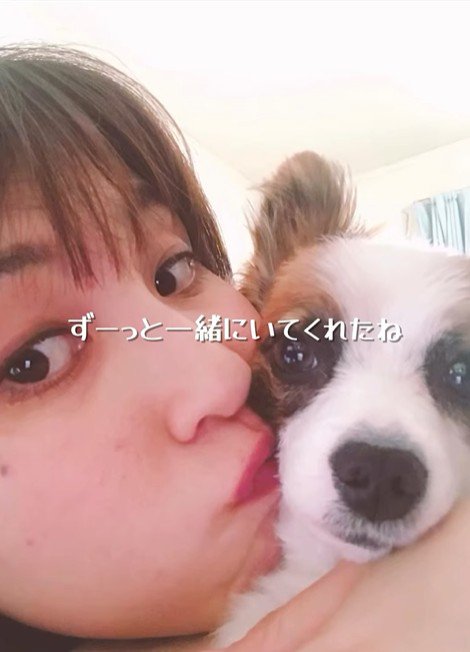 そらちゃんを迎えてからの日々6