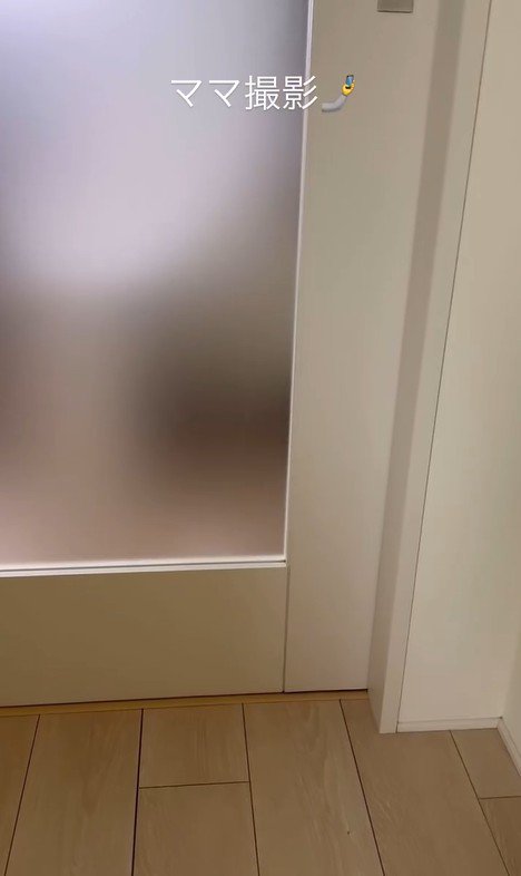 モカちゃんとママさんの再会