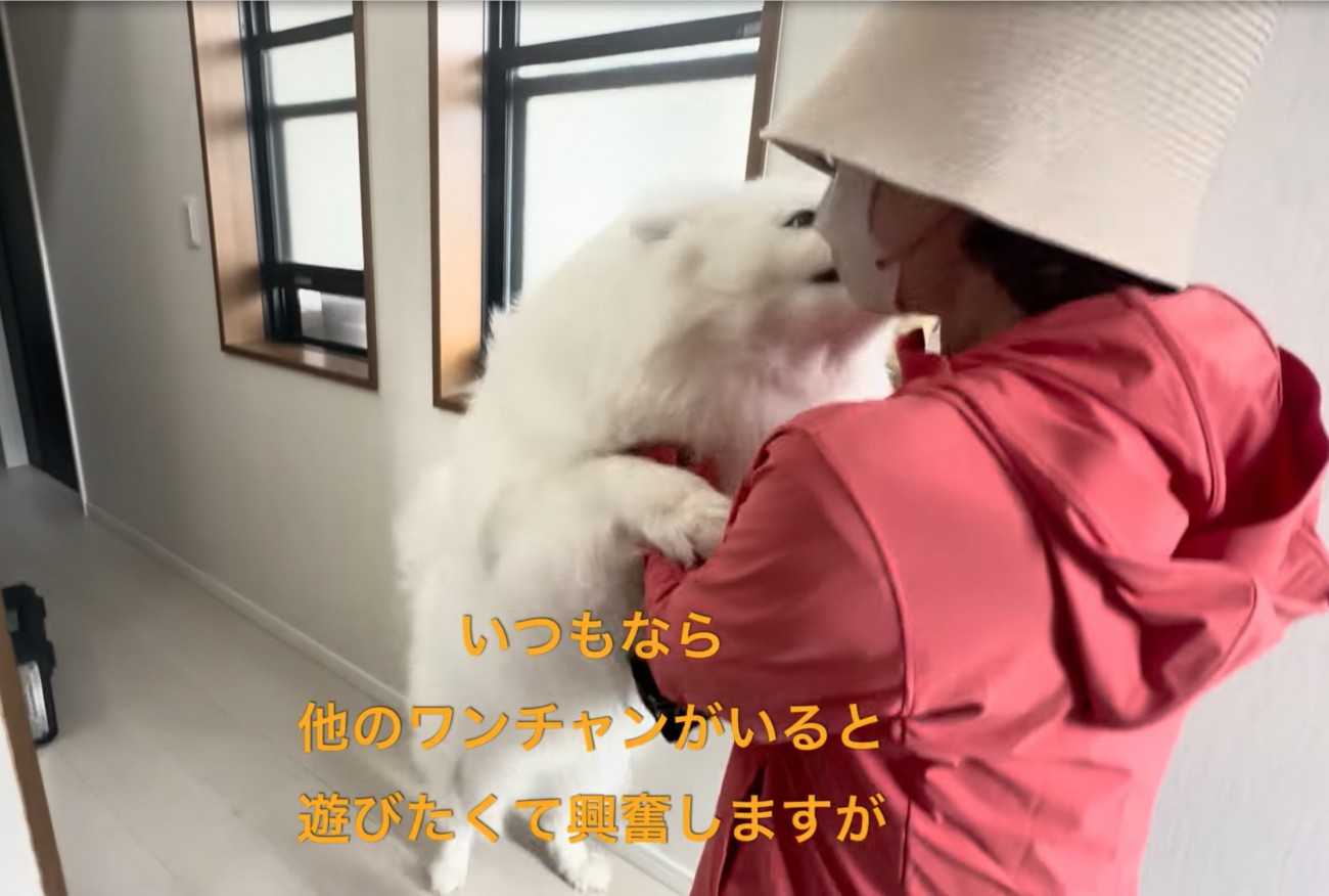 嬉しさを爆発させるセブンちゃん