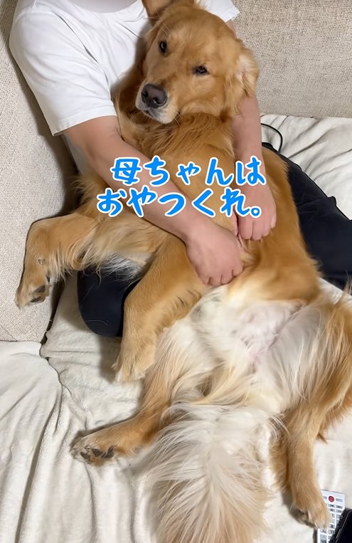 お父さんに甘える大型犬