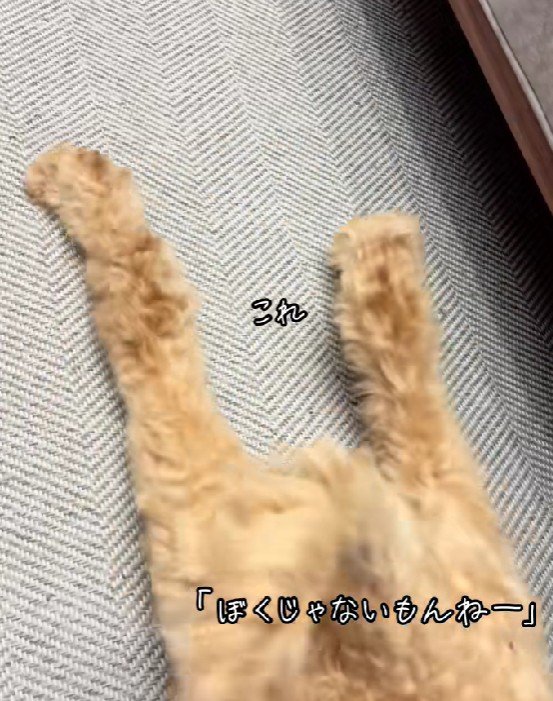 犯人確定！！