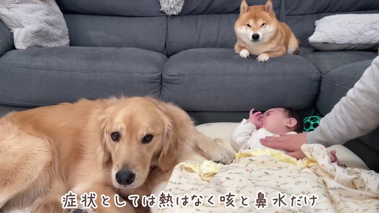 2匹とも心配そうに寄り添う