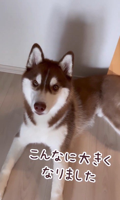 るい君の成長記録9