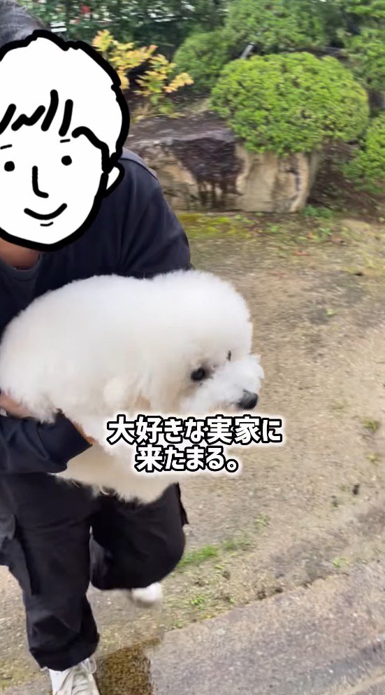 女性の声を聞いて身を乗り出す犬