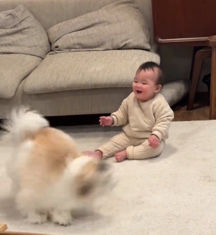 残像が残る小太郎くん