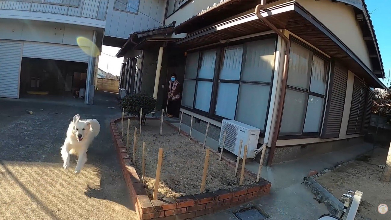 おばあちゃんの登場に大喜び