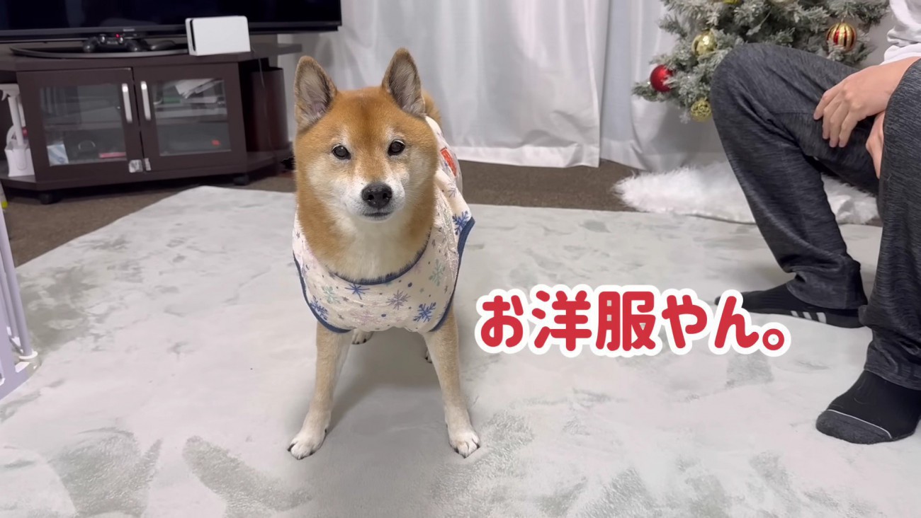 「なかなかいい服だ」