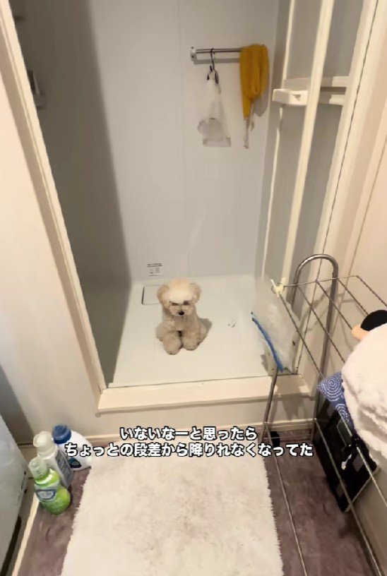 シャワールームにいた