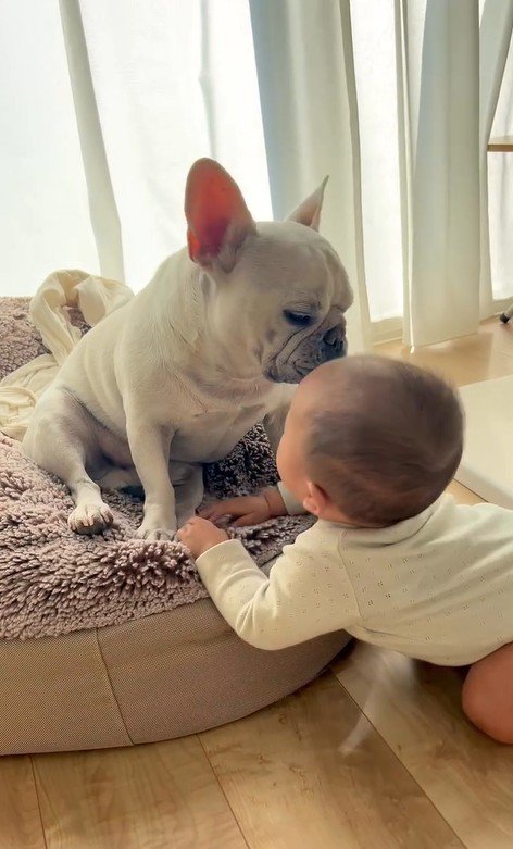 優しく見つめるポトフくん