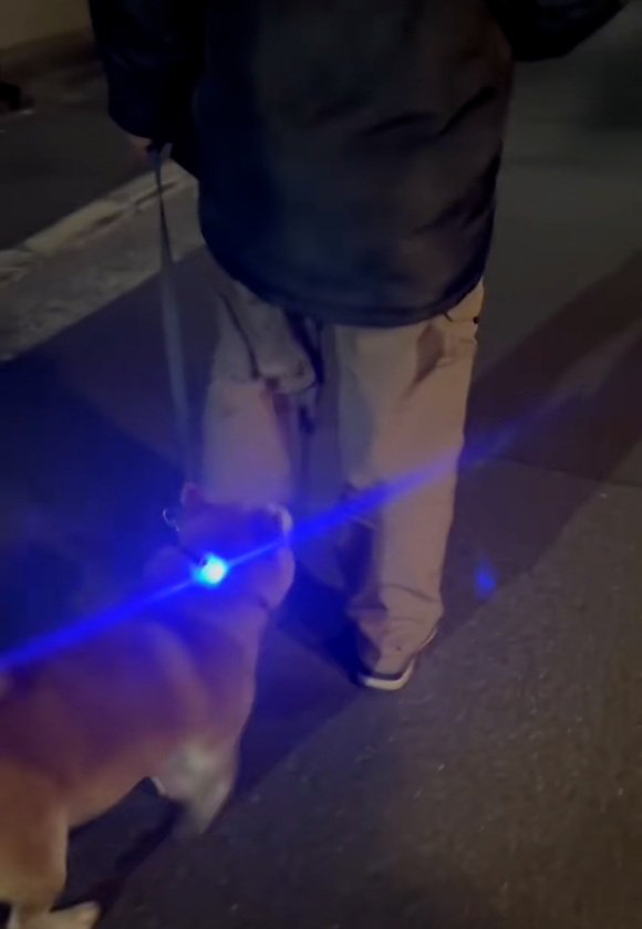 諦めたロンくん