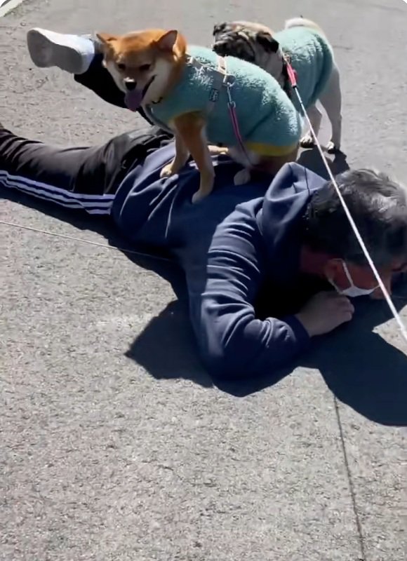 笑顔の姫ちゃん