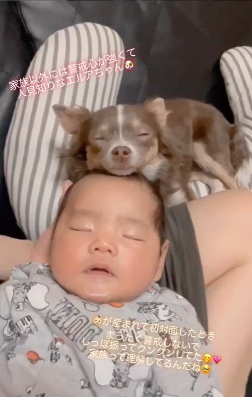 エルアちゃんと赤ちゃん