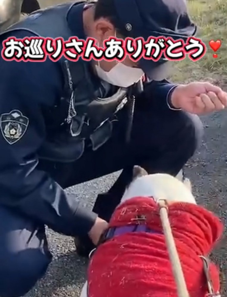 おやつを食べる犬