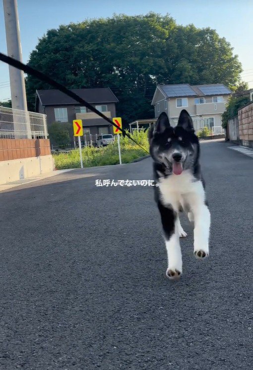 元気に駆け寄ってくる稀琉くん