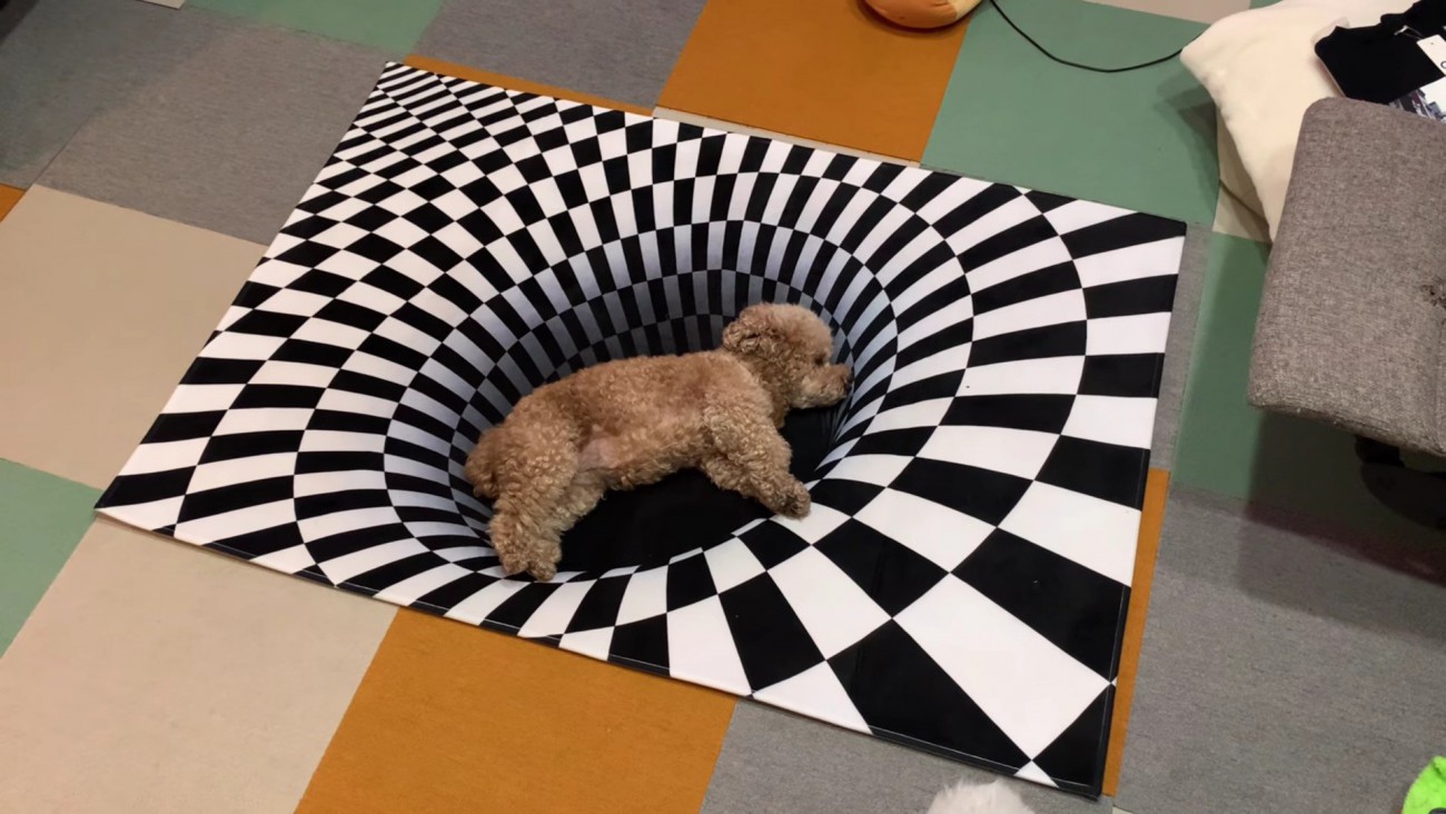 お昼寝場所になりました