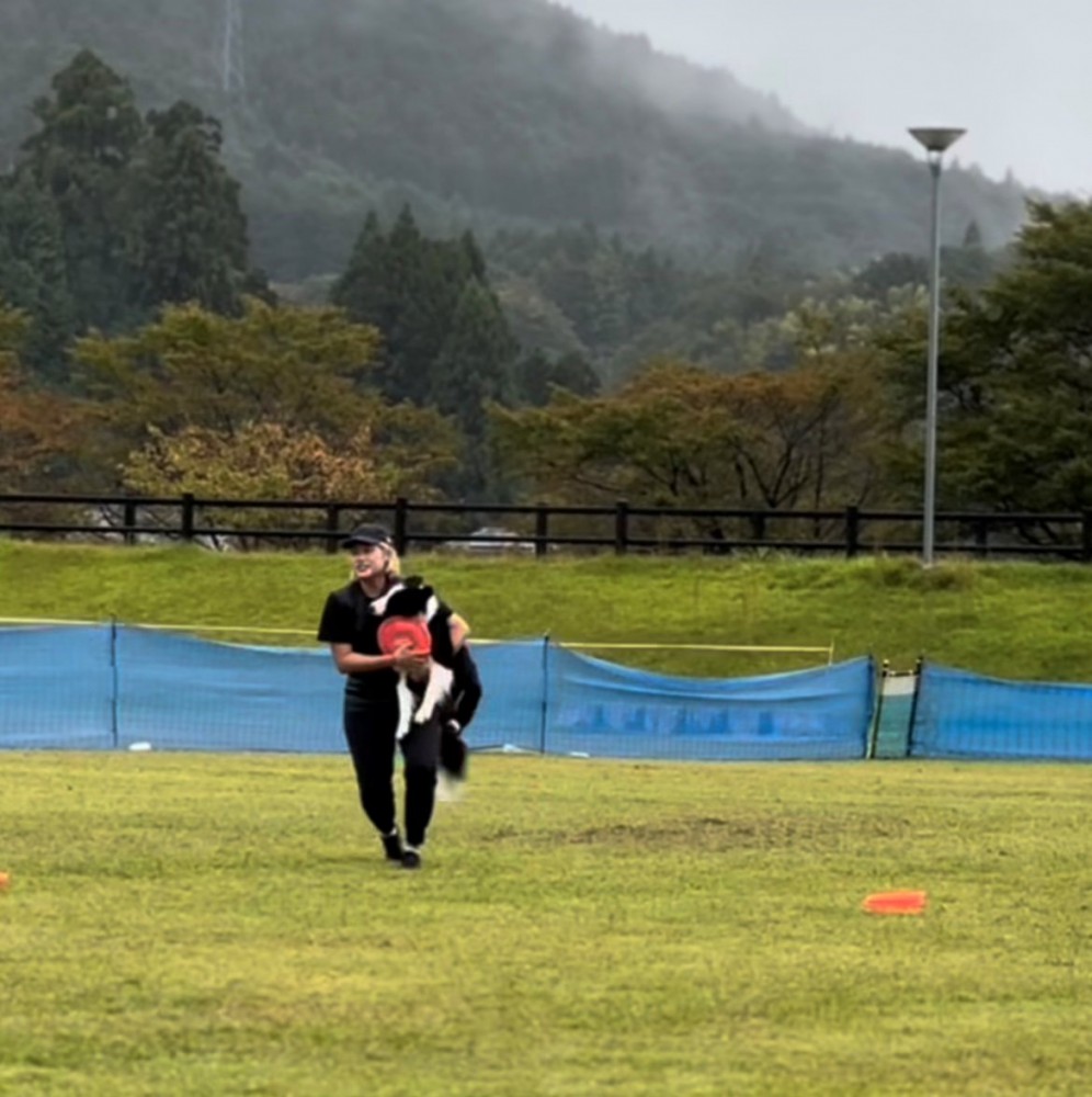 人の腕に抱かれている犬