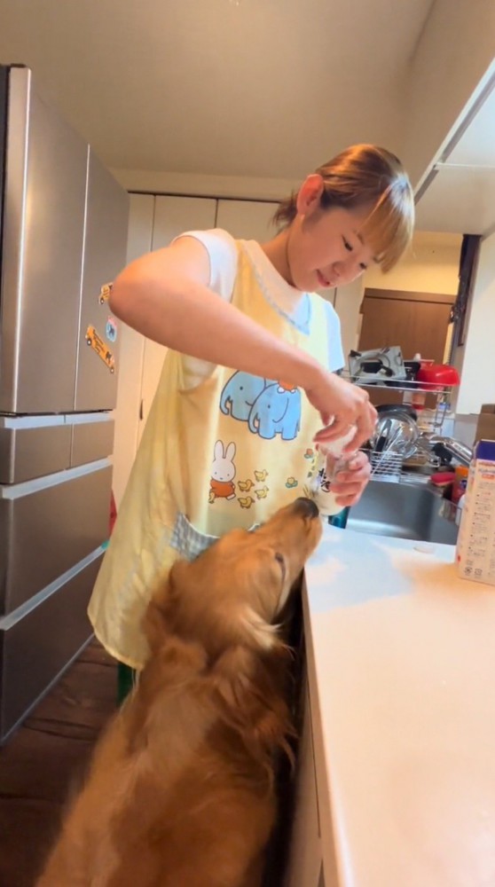 哺乳瓶の蓋を閉める飼い主