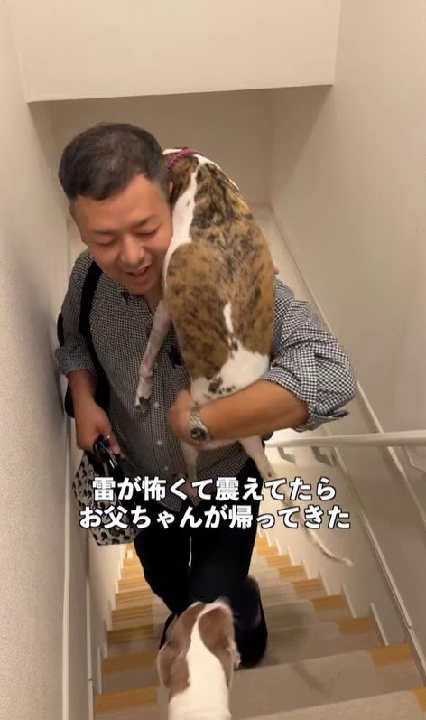 雷が鳴った時のきびちゃん2