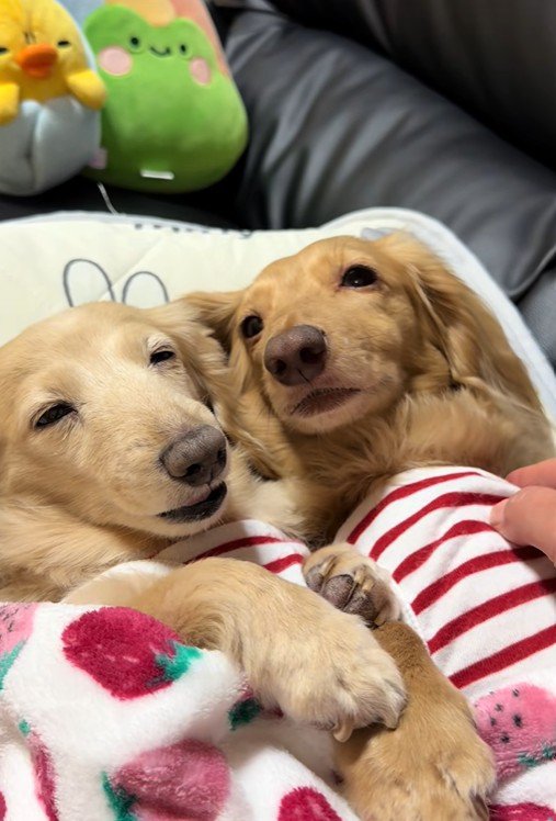 お腹をトントン…