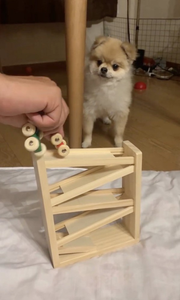 もう1回やってみよう