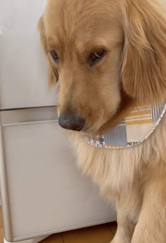 じっとりめの視線…！