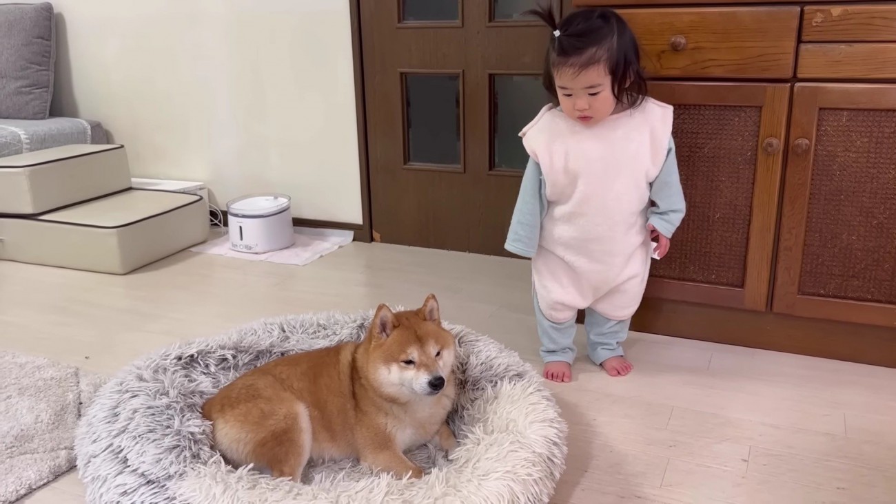 「いいなあ…」