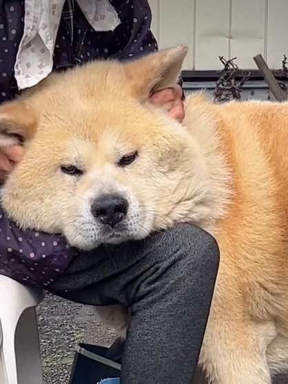 膝枕をしてもらう♡