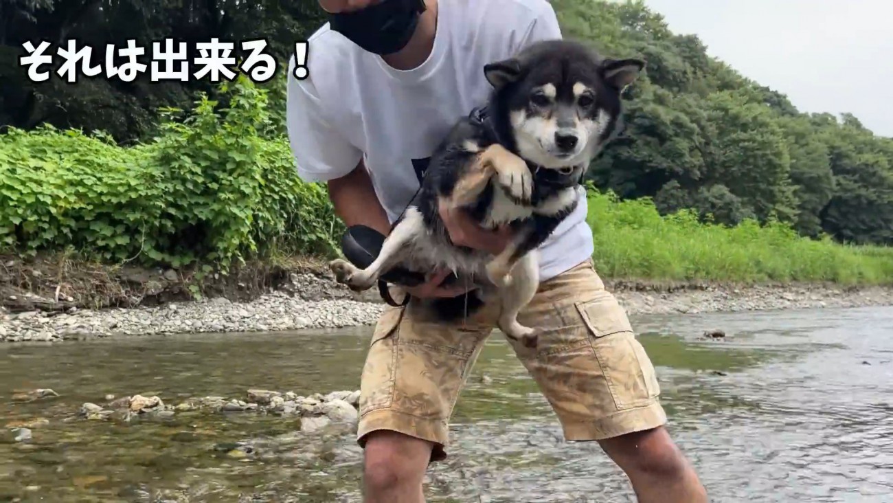 エア犬かきを披露
