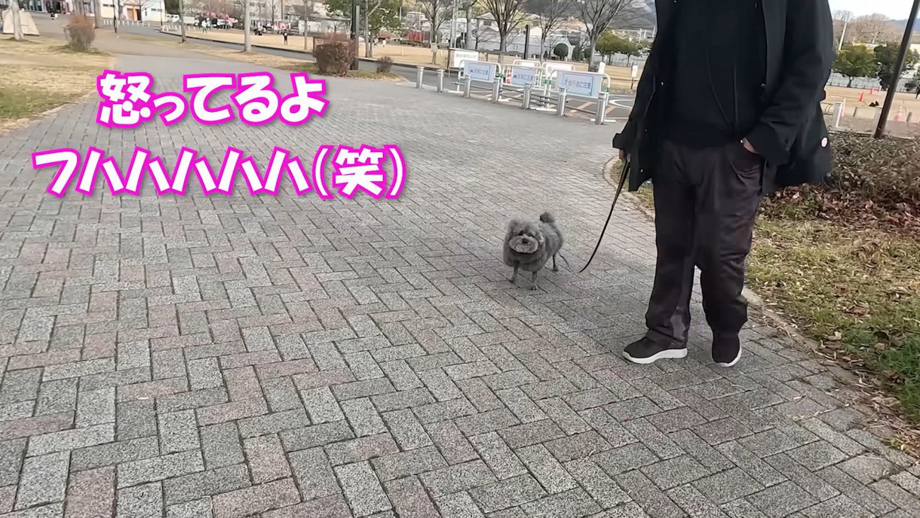 笑いをこらえきれない女性たち