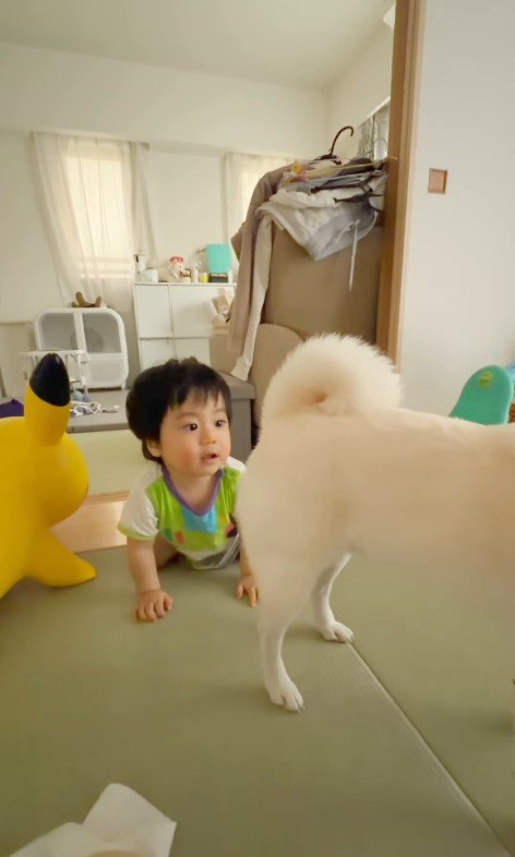 おまめちゃんと赤ちゃん6