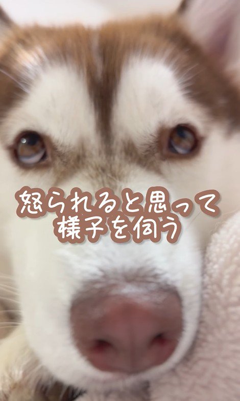 イタズラ好きなたこやきちゃん2